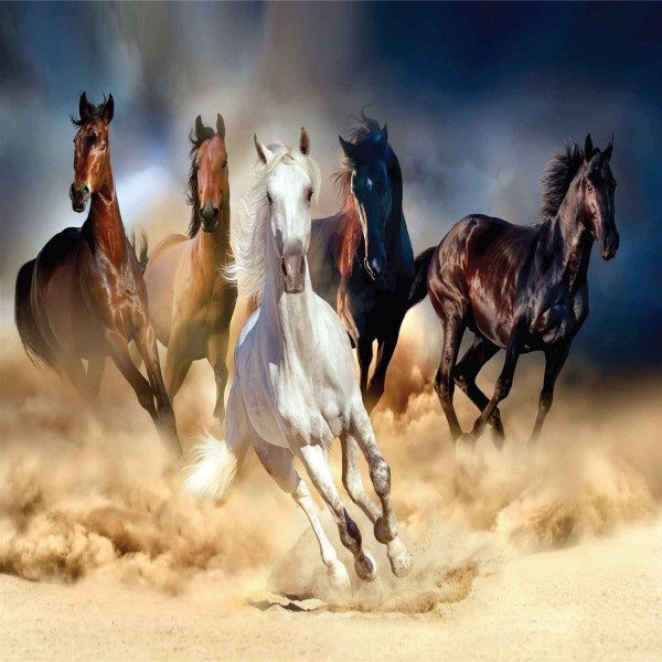 Mozaika diamentowa z końmi w galopie Diamond Painting