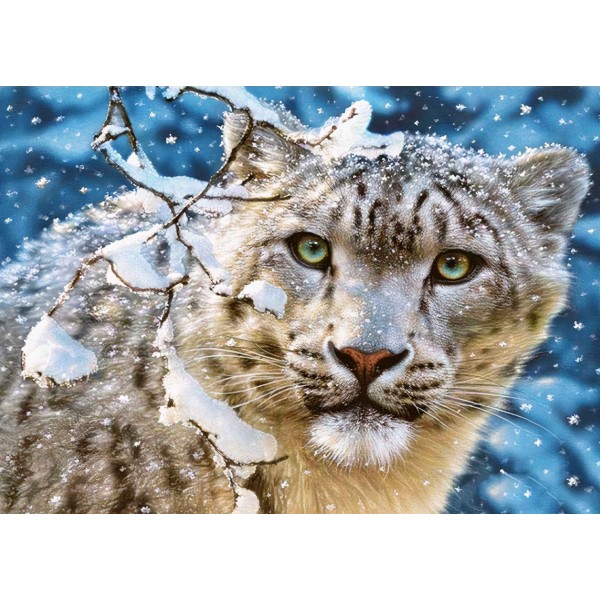 Tygrys w śniegu Diamond Painting