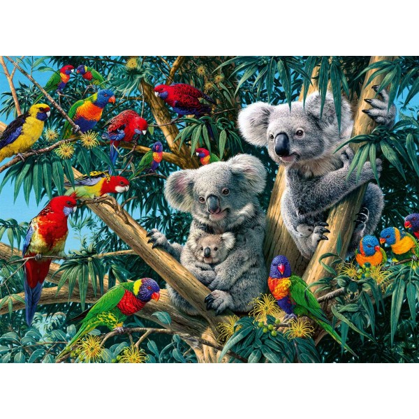 Misie koala Diamond Painting