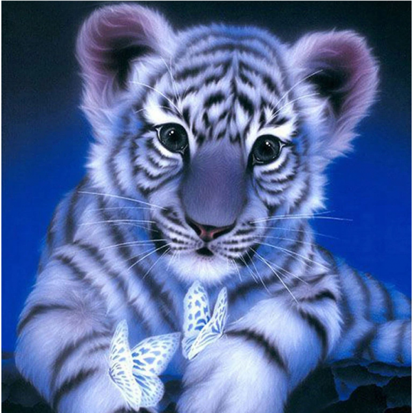 Mały tygrys Diamond Painting