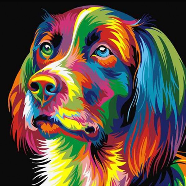 Kolorowy pies Diamond Painting