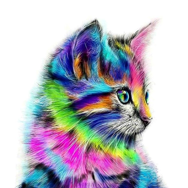 Kolorowy kot Diamond Painting